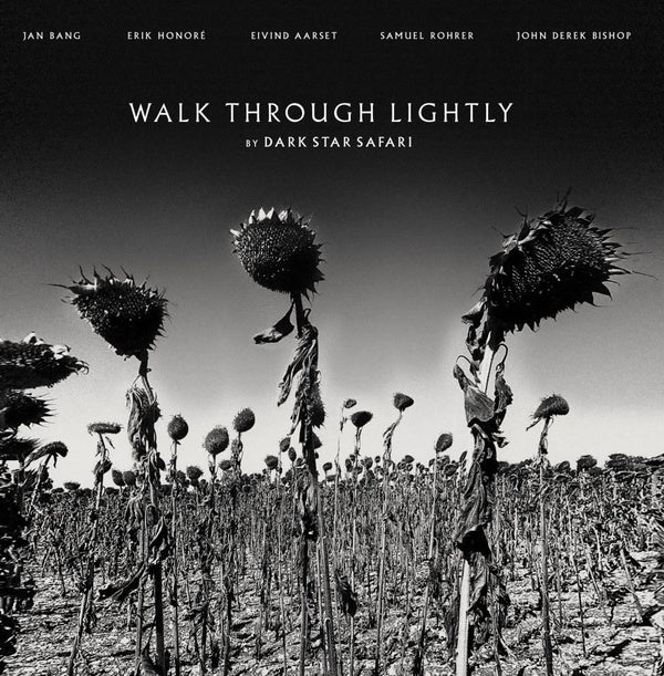 DARK STAR SAFARI - Walk Through Lightly ((Vinyl))