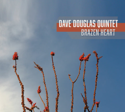 Dave Quintet Douglas - Brazen Heart ((CD))