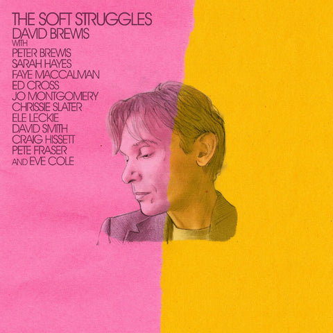 David Brewis - The Soft Struggles ((Vinyl))