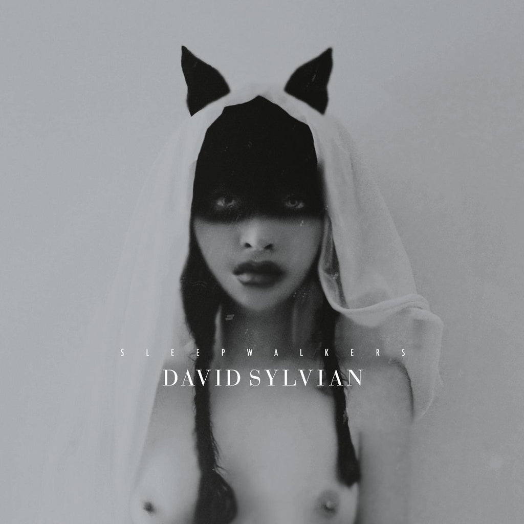 David Sylvian - Sleepwalkers (DELUXE EDITION) ((Vinyl))