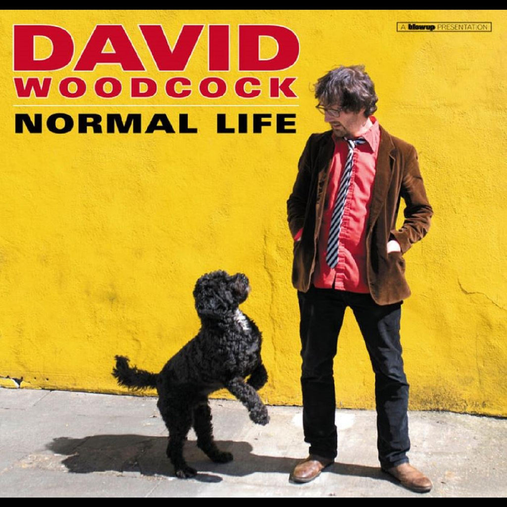 David Woodcock - Normal Life ((Vinyl))