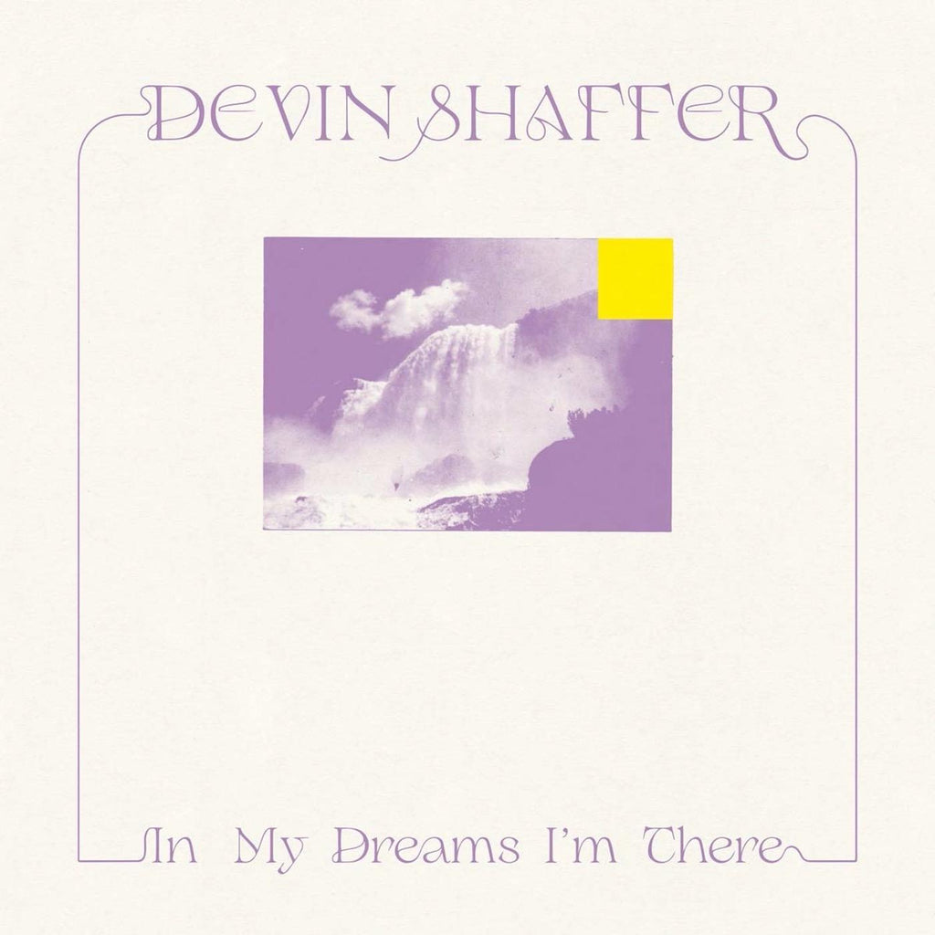 Devin Shaffer - In My Dreams I'm There ((CD))