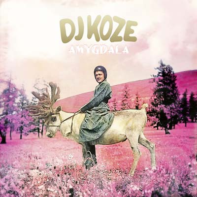 DJ Koze - Amygdala ((CD))