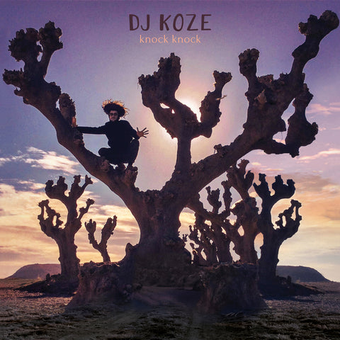 DJ Koze - Knock Knock ((CD))