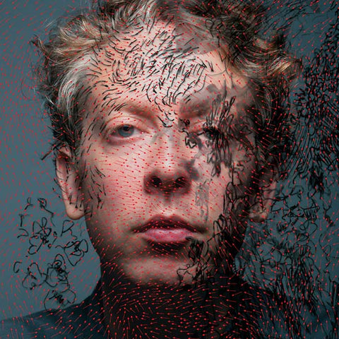 DM STITH - Pigeonheart ((Vinyl))