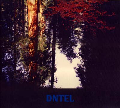 DNTEL - Aimlessness ((CD))