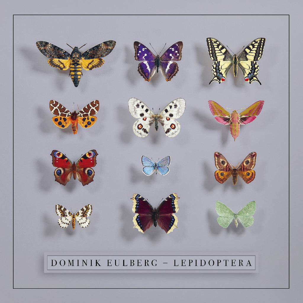 Dominik Eulberg - Lepidoptera ((Vinyl))