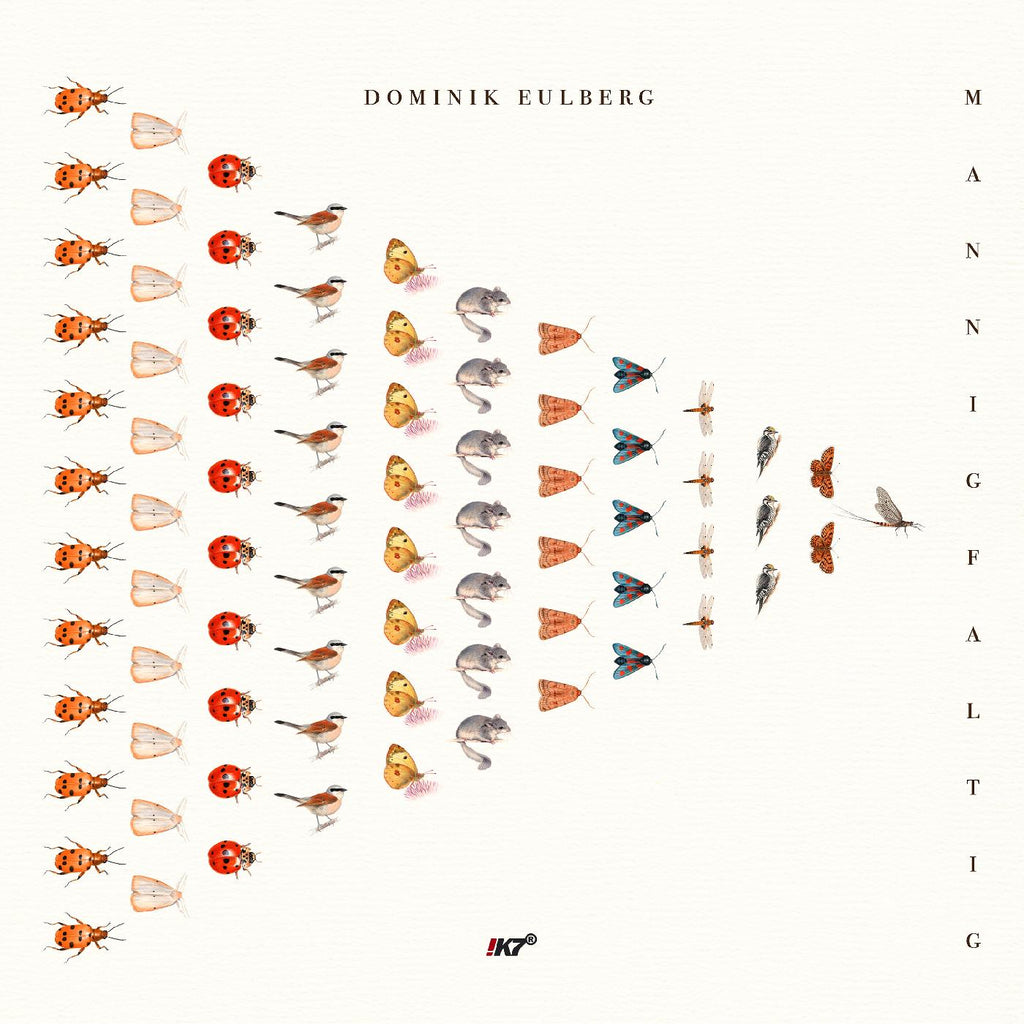 Dominik Eulberg - Mannigfaltig ((Vinyl))