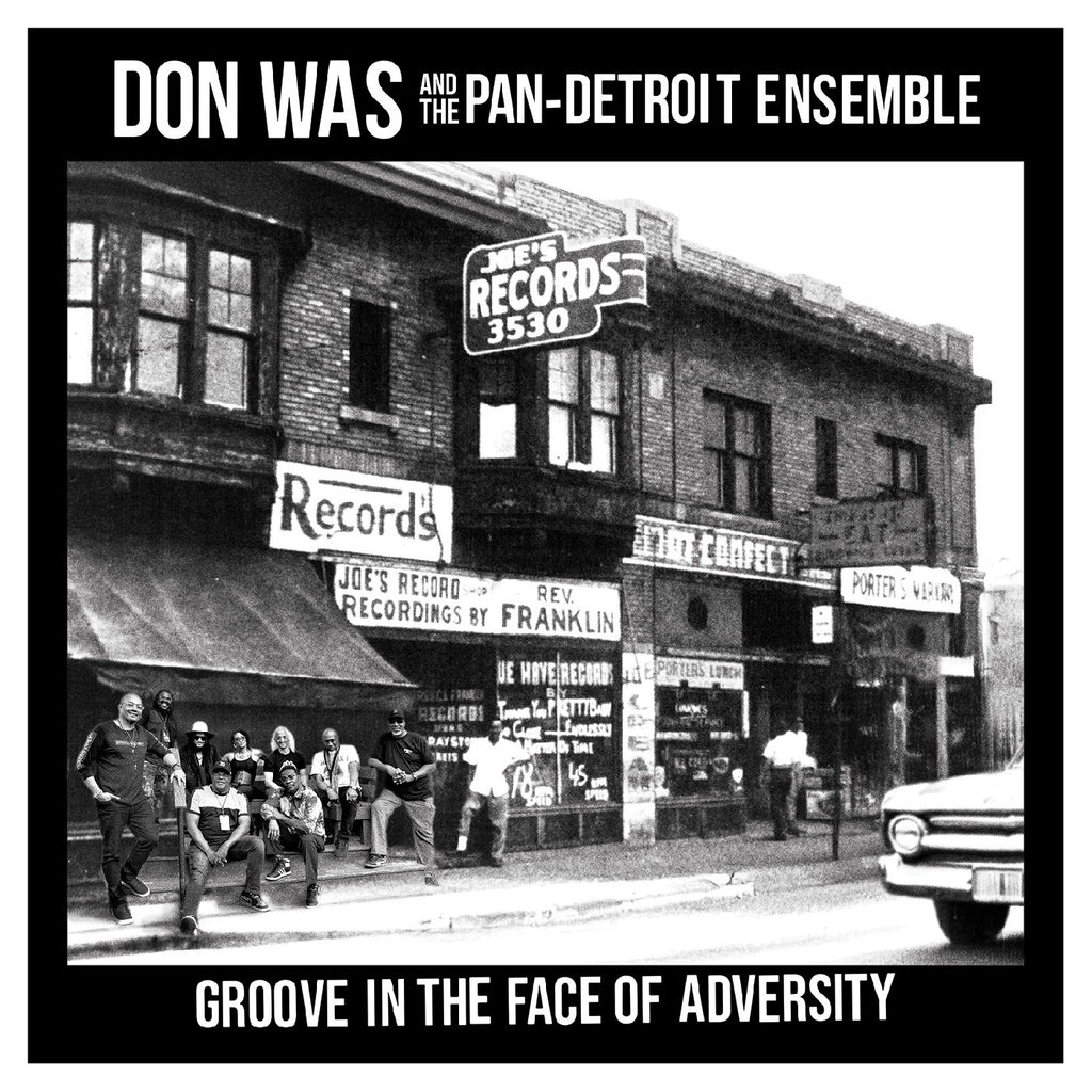 Don Was - Groove In The Face Of Adversity ((Vinyl))