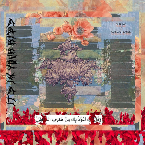 DUNUMS/CASUAL PLANES - Its In Your Ribs ((Vinyl))