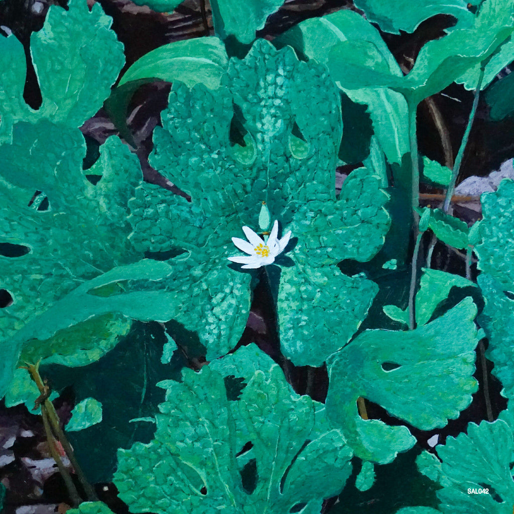 Early Fern - Wetland Interiors ((Vinyl))