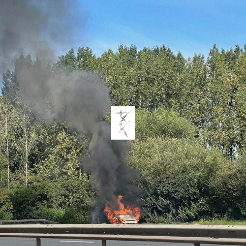 Eden - Dark ((Vinyl))