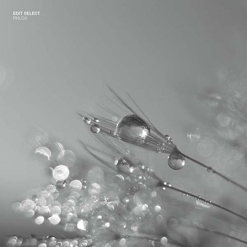 EDIT SELECT - Phlox ((Vinyl))
