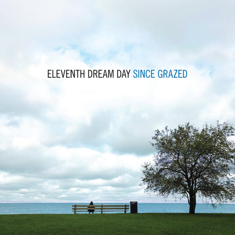 Eleventh Dream Day - Since Grazed ((Vinyl))