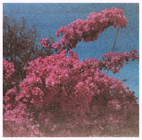 ELISABETH KLINCK - Picture a Frame ((Vinyl))