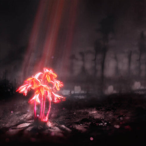 Enter Shikari - A Kiss for the Whole World (Sunset Red Colored Vinyl) ((Vinyl))