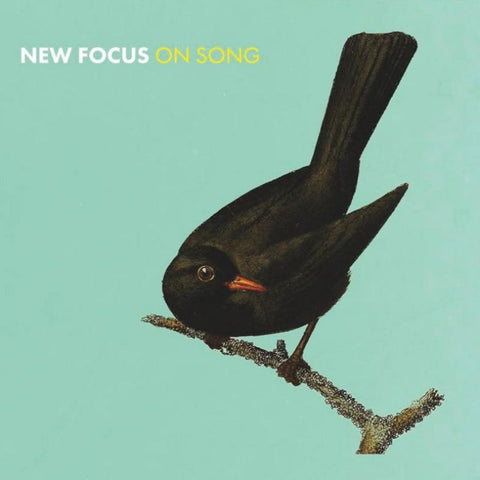 Euan & Wiszniewski Stevenson - New Focus On Song ((CD))