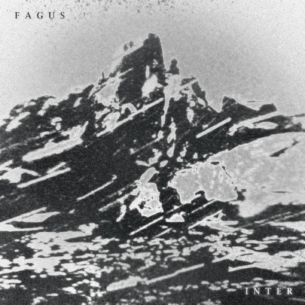Fagus - Inter ((CD))