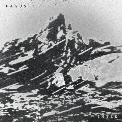 Fagus - Inter ((CD))
