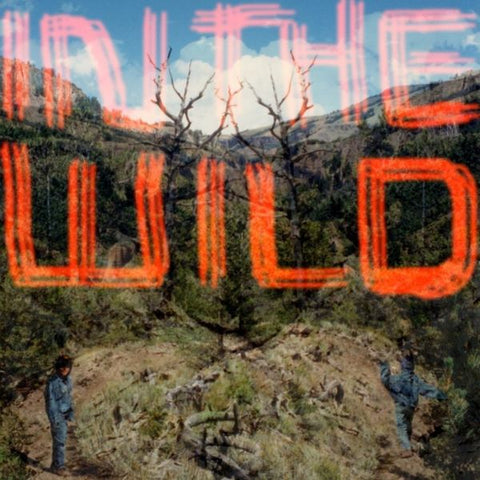 FaltyDL - In The Wild ((Vinyl))