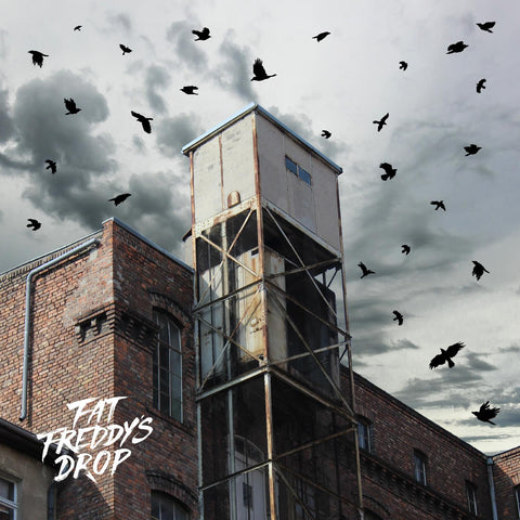 Fat Freddy's Drop - Blackbird Returns ((Vinyl))