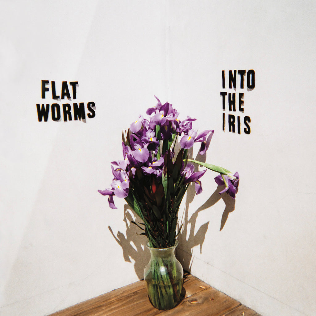Flat Worms - Into The Iris ((Vinyl))