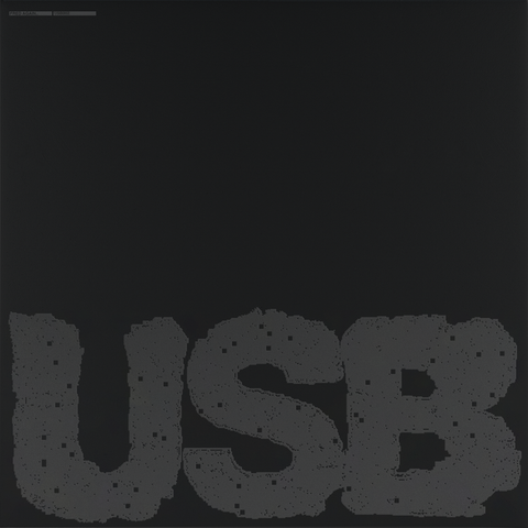 Fred Again.. - USB002 (Standard Black Vinyl) [2LP] ((Vinyl))