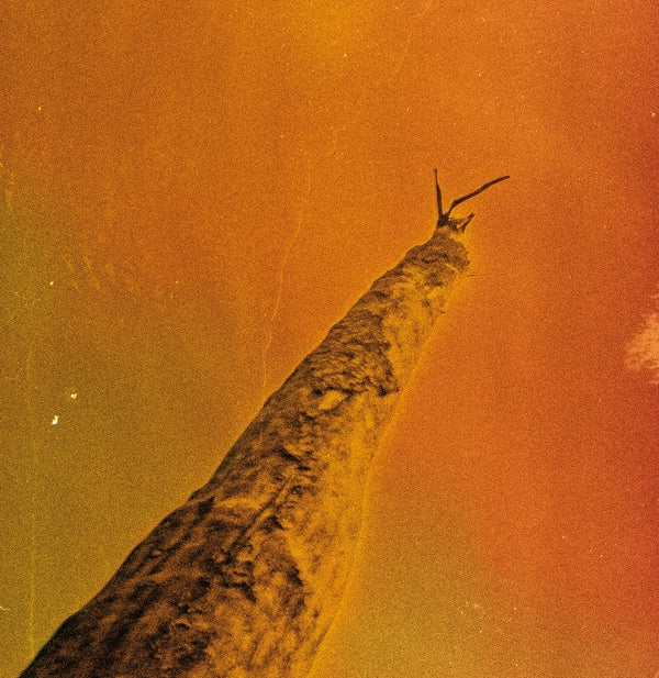 FREDERIC D. OBERLAND/GREGORY DARGENT/TONY ELIEH/WA - SIHR ((Vinyl))