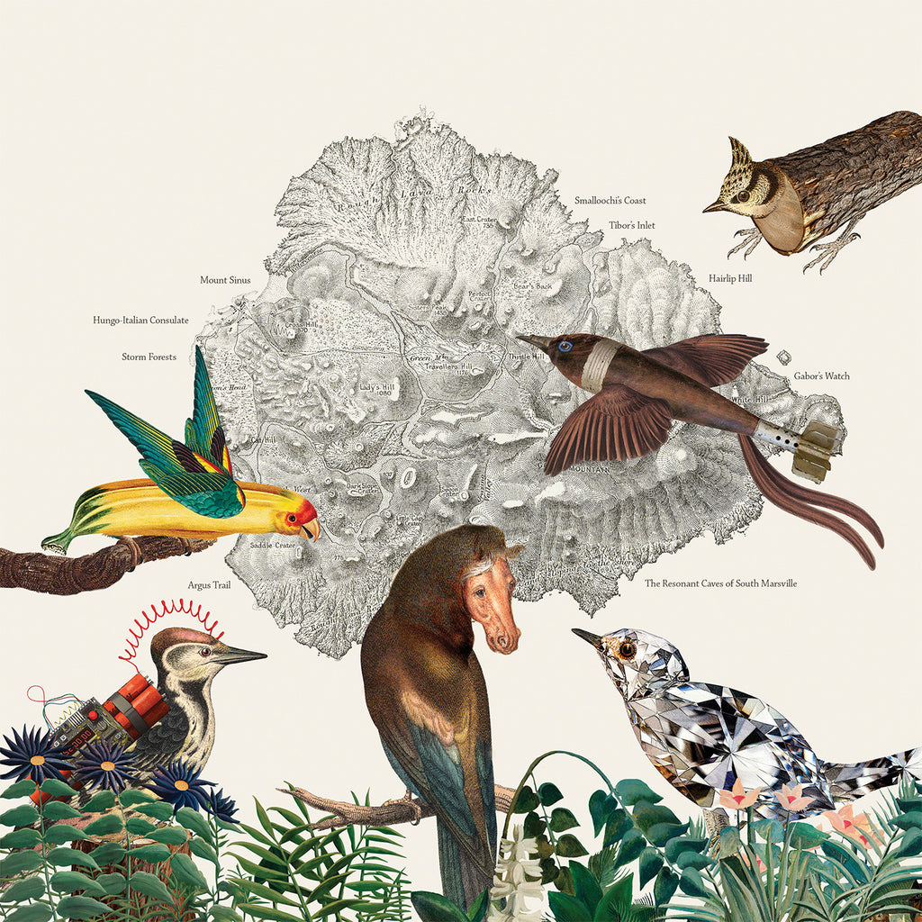 Friendly Rich - The Birds Of Marsville ((Vinyl))