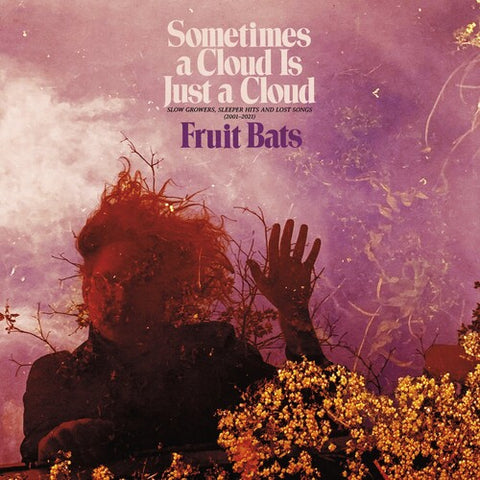 Fruit Bats - Sometimes a Cloud Is Just a Cloud: Slow Growers, Sleeper Hits and Lost Songs (2001–2021) (Colored Vinyl, Pink, Violet, Gatefold LP Jacket, Digital Download Card) (2 Lp's) ((Vinyl))