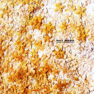 GAVIN HERLIHY - Back Burner ((Vinyl))