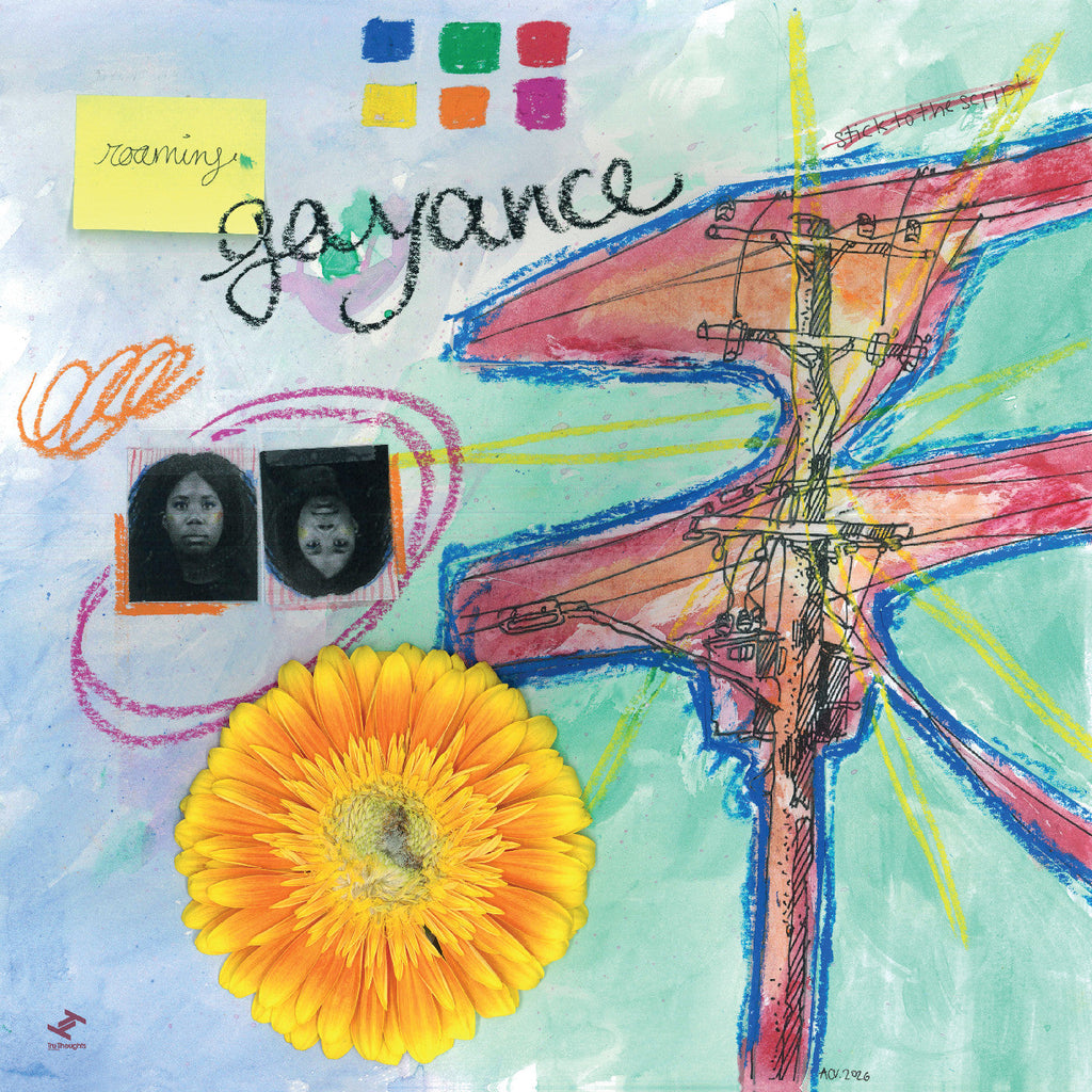 GAYANCE - Roaming ((Vinyl))