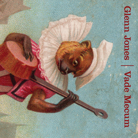Glenn Jones - Vade Mecum ((CD))