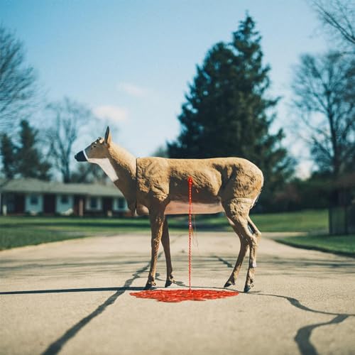 Graham, Wayne - Bastion ((CD))