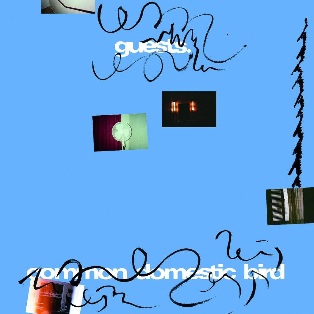 Guests - Common Domestic Bird ((Vinyl))