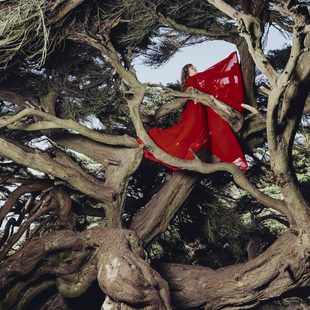 Hannah Frances - Nested In Tangles (Ruby Red Vinyl) ((Vinyl))