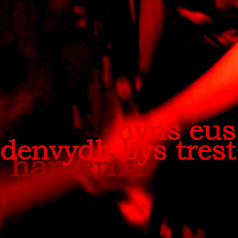 Hanterhir - There is No One to Trust (Nyns Eus Denvydth Bys Trest) ((Vinyl))