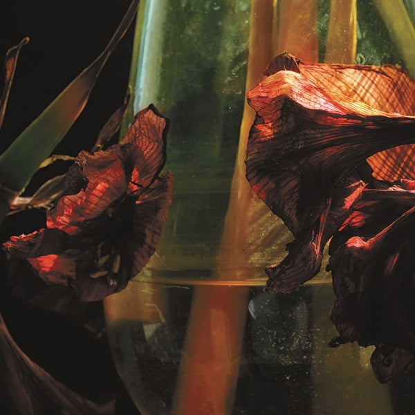 HAYVANLAR ALEMI - Psychedelia In Times Of Turbulence ((Vinyl))