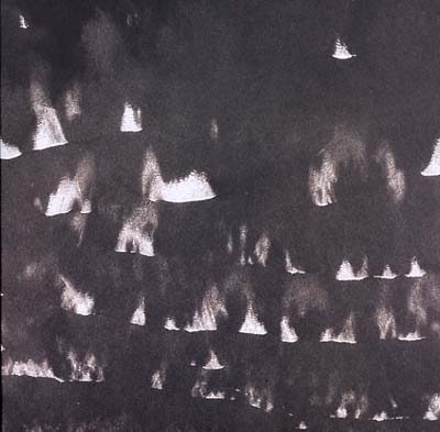 Heavy Winged - Fields Within Fields ((Vinyl))