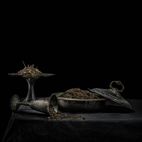 Holy Scum - All We Have Is Never (Purple Vinyl) ((Vinyl))