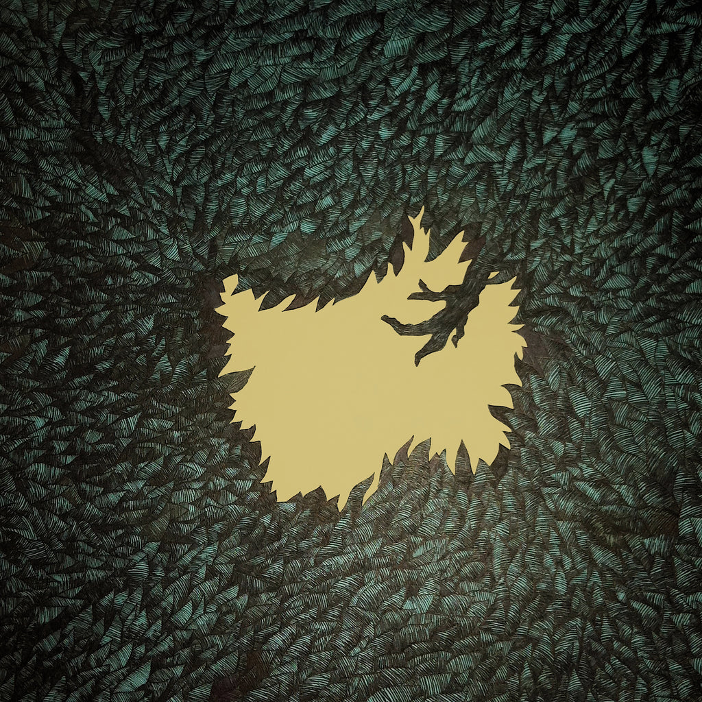 Hop Along - Get Disowned (Vinyl, Includes Download Card) ((Vinyl))