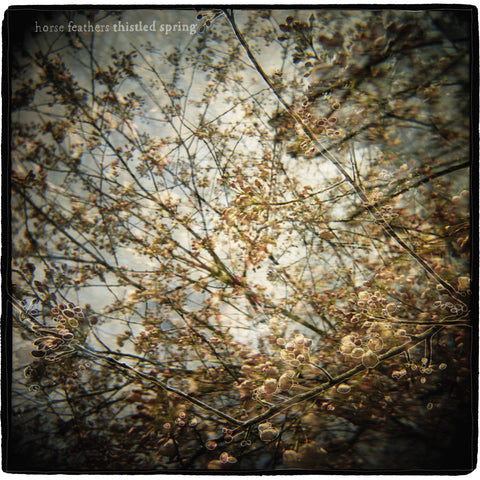 Horse Feathers - Thistled Spring ((CD))