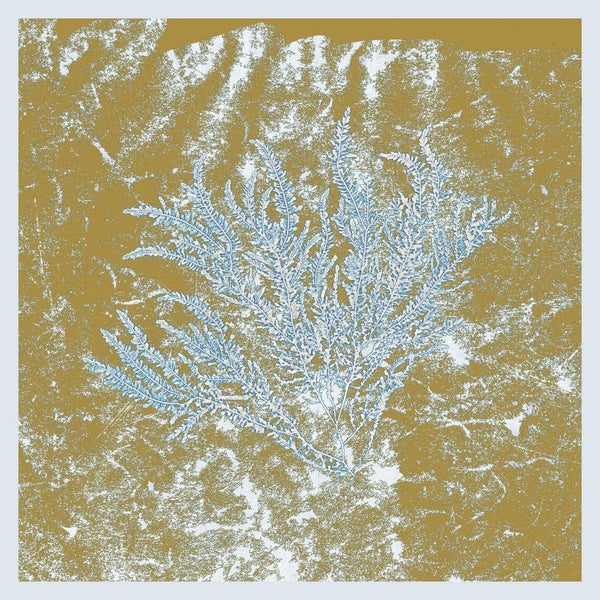 Huerco S. - For Those Of You Who Have Never (And Also Those Who Have) ((Vinyl))