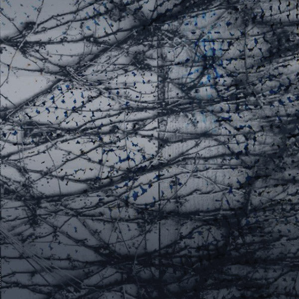 HUMAN RAYS - A Tension ((Vinyl))