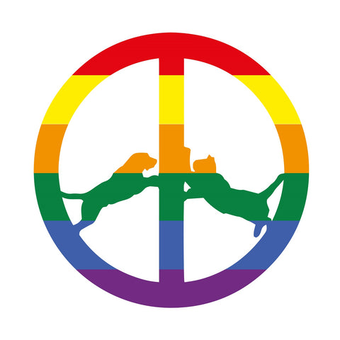 Hype Williams - Rainbow Edition ((CD))