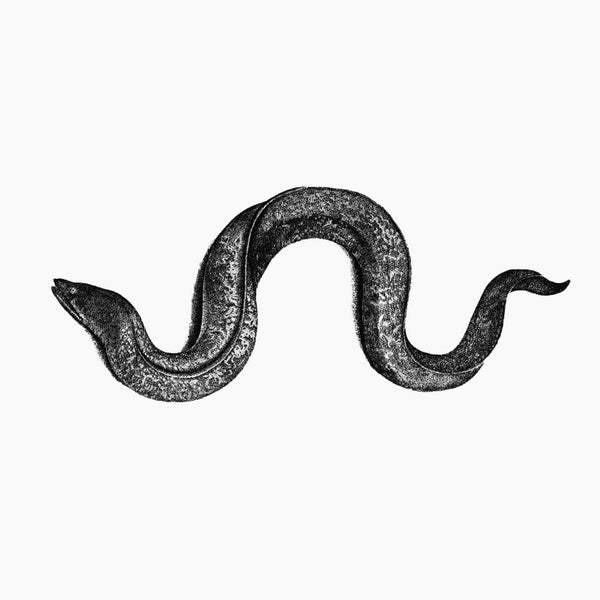 HYUNHYE SEO - Eel ((CD))