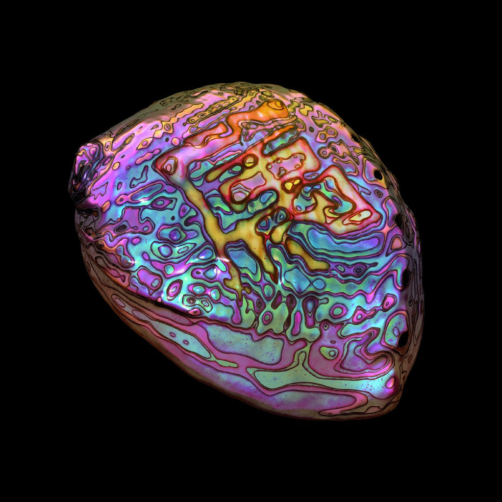 Ian Chang - ^ Belonging (WHITE VINYL) ((Vinyl))