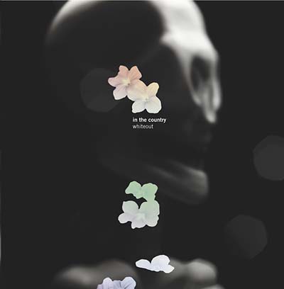 IN THE COUNTRY - Whiteout ((CD))