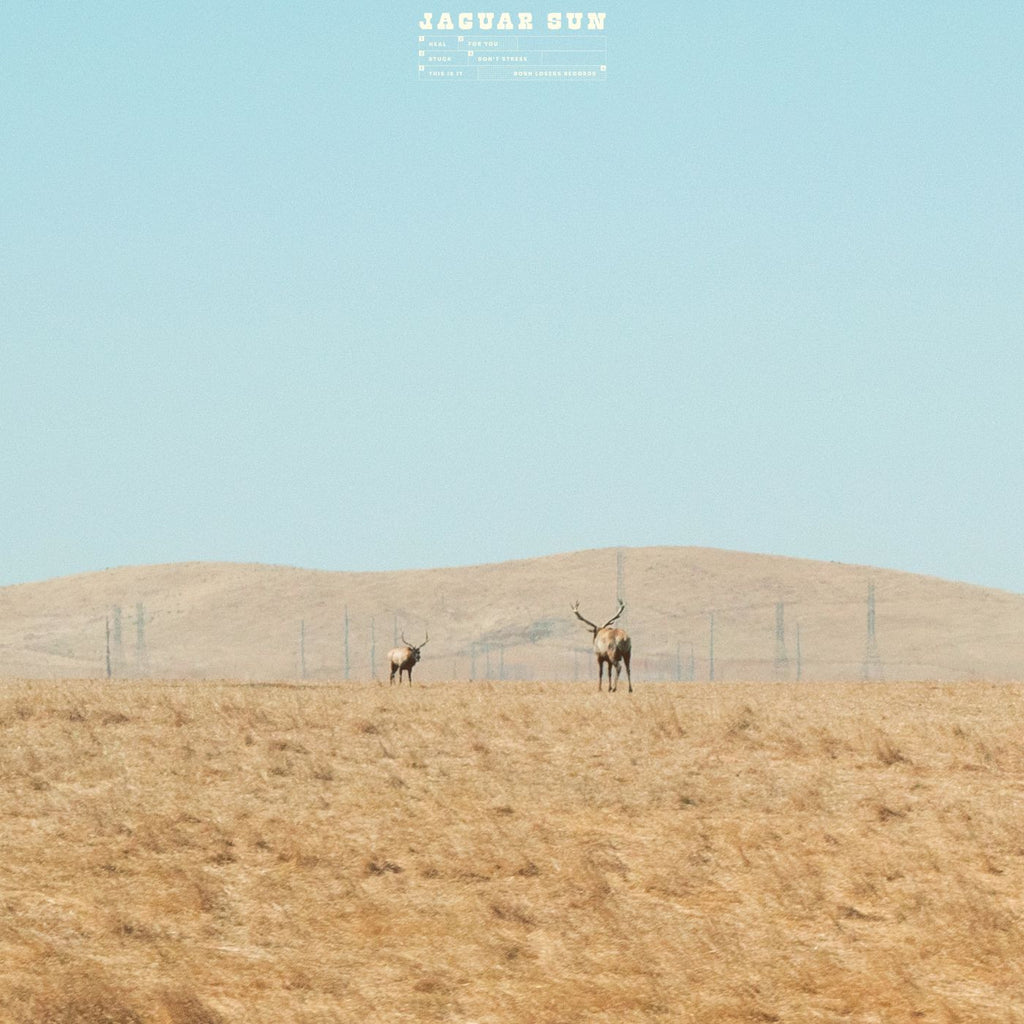 Jaguar Sun - For You (Blue And Black Swirl Vinyl) ((Vinyl))