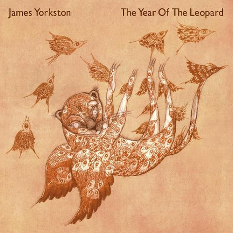 James Yorkston - The Year Of The Leopard ((Vinyl))